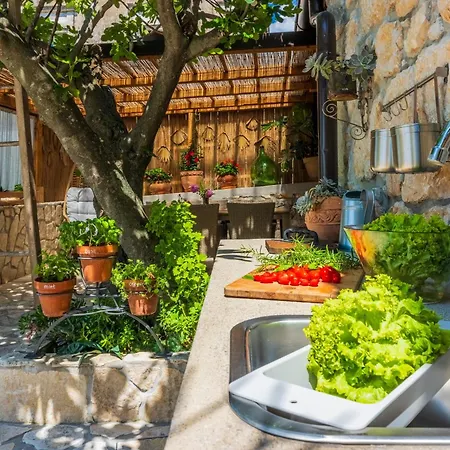 Cocoon - Vacation With Heated Pool & Garden * Bribir (Primorje-Gorski Kotar)